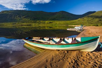 Tickets für IRLAND am 11.01.2026 - Karten kaufen